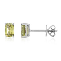 Mali Garnet Platinium Earrings