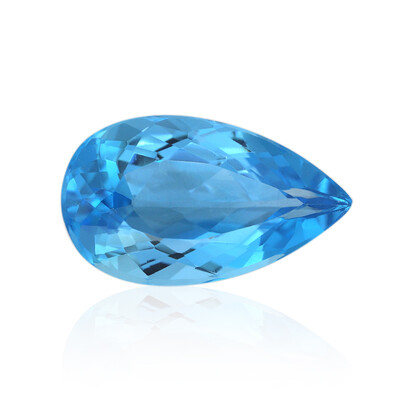 Marambaia Topaz other gemstone 13,04 ct