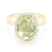 18K Paraiba Tourmaline Gold Ring (AMAYANI)