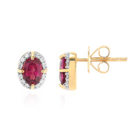 9K Rubellite Gold Earrings