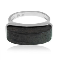 Black Oak Silver Ring