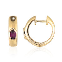 Rhodolite Silver Earrings