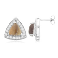 Botswana Agate Silver Earrings