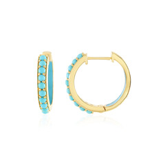 Sleeping Beauty Turquoise Silver Earrings