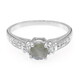 Romanian Spectrolite Silver Ring