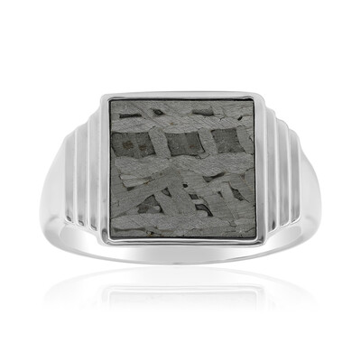 Aletai-Meteorite Silver Ring