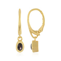 Black Star Sapphire Silver Earrings