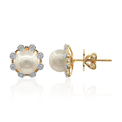 9K Akoya Pearl Gold Earrings (TPC)