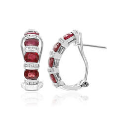 14K AAA Mozambique Ruby Gold Earrings (CIRARI)