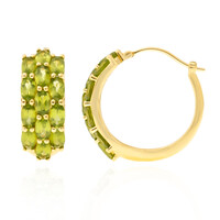 Idocrase Silver Earrings