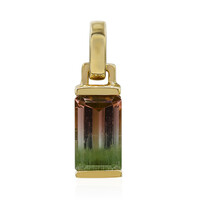9K Bi Colour Tourmaline Gold Pendant