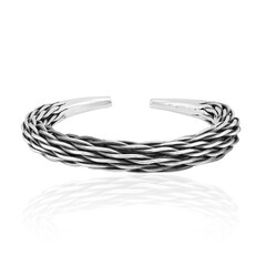 Silver Bangle (Nan Collection)