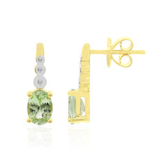9K Kenya Tsavorite Gold Earrings (Tenner Diniz)