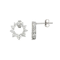 Zircon Silver Earrings (Adela Silber)