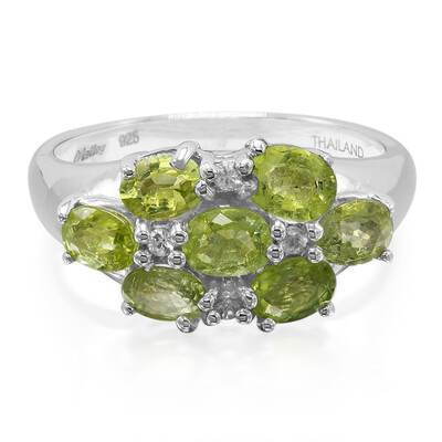 Paraiba Tourmaline Silver Ring