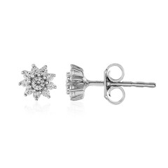 Zircon Silver Earrings (Adela Silber)