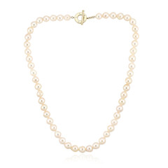 Akoya Pearl Silver Necklace (TPC)