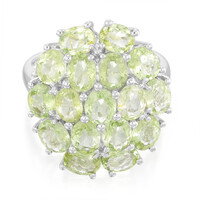 Paraiba Tourmaline Silver Ring
