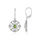 Russian Diopside Silver Earrings