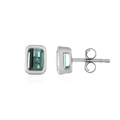 Benedito Green Tourmaline Silver Earrings(Adela Silber)