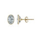9K Brazilian Aquamarine Gold Earrings