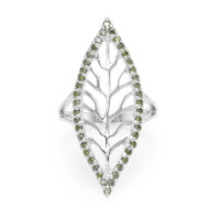 Fancy Diamond Silver Ring