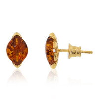 Baltic Amber Silver Earrings