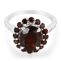 Mozambique Garnet Silver Ring