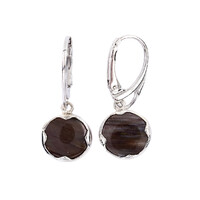 Petrified Wood Silver Earrings
