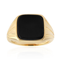 Black Onyx Silver Ring
