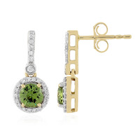 14K Madagascan Demantoid Gold Earrings (AMAYANI)