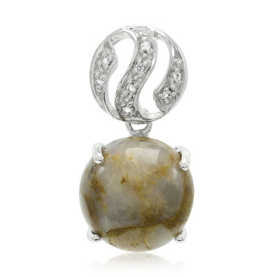 Dinosaur Bone Silver Pendant