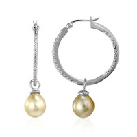 Kabira Golden South Sea Pearl Silver Earrings (TPC)
