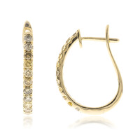 14K SI2 Fancy Diamond Gold Earrings (CIRARI)