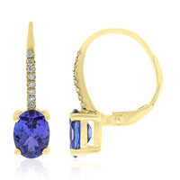 14K AAA Tanzanite Gold Earrings (CIRARI)