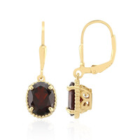 Garnet Silver Earrings