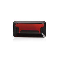 Mozambique Garnet other gemstone 22,515 ct