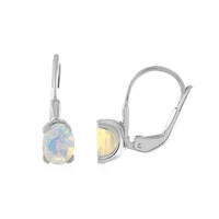 Welo Opal Silver Earrings