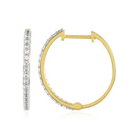Zircon Silver Earrings