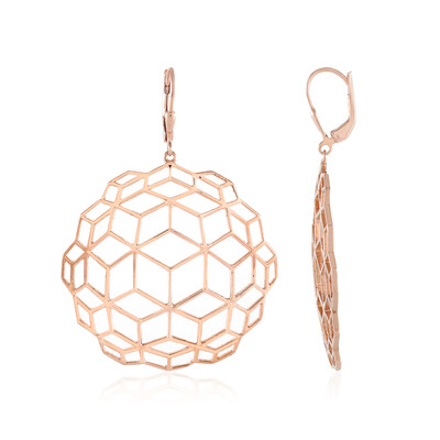 Silver Earrings (SAELOCANA)