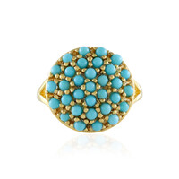 Sleeping Beauty Turquoise Silver Ring (Faszination Türkis)