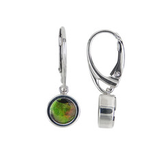 Ammolite Silver Earrings