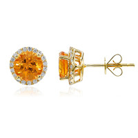 14K Mandarin Garnet Gold Earrings (CIRARI)