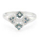 Fancy Diamond Silver Ring