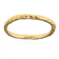 Silver Ring (Joias do Paraíso)