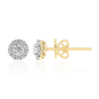 14K VVS1 (G) Diamond Gold Earrings (Annette)