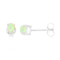 AAA Welo Opal Silver Earrings