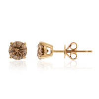 14K SI2 Brown Diamond Gold Earrings (CIRARI)