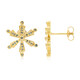 Fancy Diamond Silver Earrings