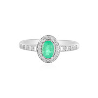Colombian Emerald Silver Ring